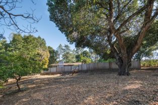 Single Family Residence, 156 Bardet rd, Woodside, CA 94062 - 5