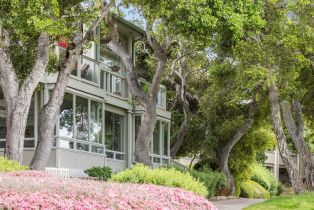 Single Family Residence, 10467 Fairway ln, Carmel, CA 93923 - 25