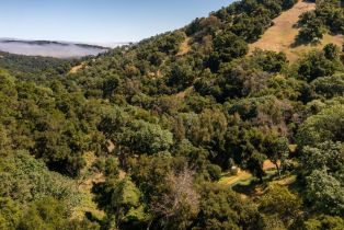 , 33022 Rancho San Carlos rd, Carmel, CA 93923 - 19