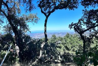 , 62 Chamisal pass, Carmel, CA 93923 - 6