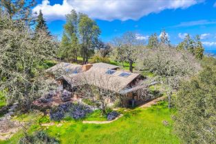 Single Family Residence,  Ranch, 500 El Caminito rd, Carmel Valley, CA 93924 - 14