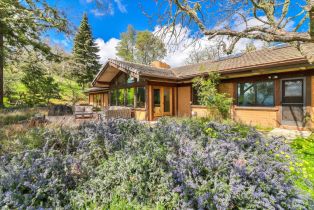 Single Family Residence,  Ranch, 500 El Caminito rd, Carmel Valley, CA 93924 - 37