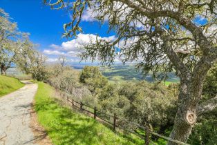 Single Family Residence,  Ranch, 500 El Caminito rd, Carmel Valley, CA 93924 - 49