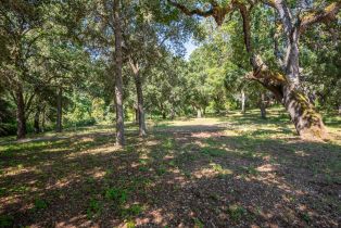 , 5 Rumsen Trace (Lot 36), Carmel, CA 93923 - 6