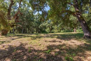 , 5 Rumsen Trace (Lot 36), Carmel, CA 93923 - 8