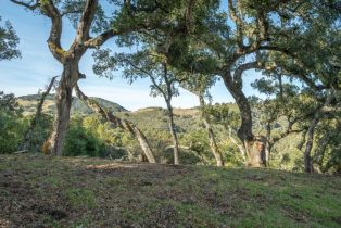 , 5 Vasquez Trail (Lot 170), Carmel, CA 93923 - 7