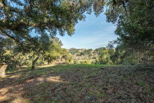 , 5 Vasquez Trail (Lot 170), Carmel, CA 93923 - 9