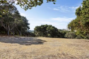 , 8350 Tres Paraiso (Lot 73), Carmel, CA 93923 - 12