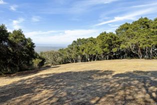 , 8350 Tres Paraiso (Lot 73), Carmel, CA 93923 - 13