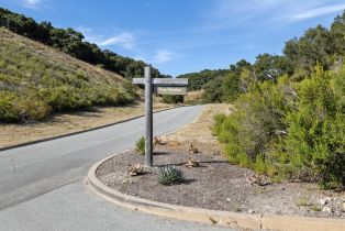 , 8350 Tres Paraiso (Lot 73), Carmel, CA 93923 - 17