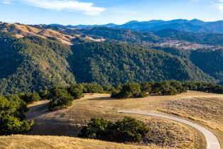 , 2 Penon Peak Trail (Lot 216), Carmel, CA 93923 - 4