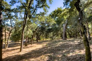 , 2 Arroyo Sequoia, Carmel, CA 93923 - 8