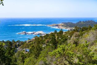 , 219 Peter Pan rd, Carmel, CA 93923 - 11