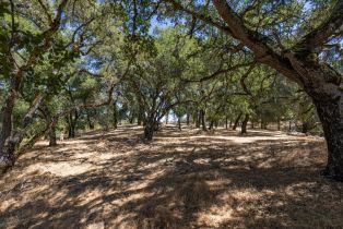 , 9 Long Ridge trl, Carmel, CA 93923 - 22