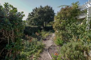 Single Family Residence, 60 Lupin ln, Carmel Valley, CA 93924 - 22