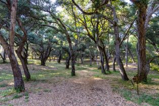 Land, 9 Garzas Trail, Carmel, CA  Carmel, CA 93923