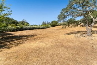 , 309 Olive Hill ln, Woodside, CA 94062 - 14