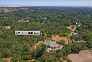 , 309 Olive Hill ln, Woodside, CA 94062 - 43