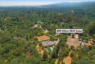 , 309 Olive Hill ln, Woodside, CA 94062 - 44