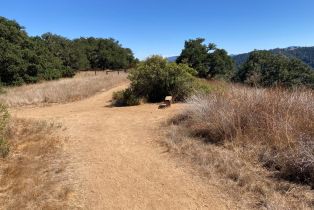 , 0 Ranch, Carmel Valley rd, Carmel, CA 93923 - 36