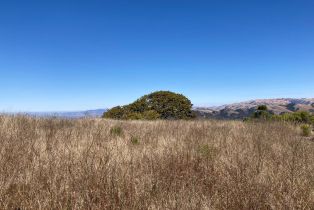 , 0 Ranch, Carmel Valley rd, Carmel, CA 93923 - 54