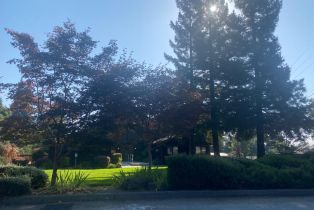 Single Family Residence, 21523 Betty Ann Court ct, Los Gatos, CA 95033 - 24