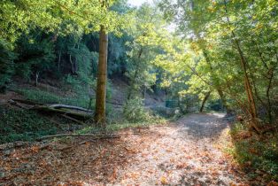 Single Family Residence, 20600 Aldercroft hts, Los Gatos, CA 95033 - 14