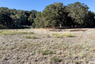 , 7 Holding Field run, Carmel, CA 93923 - 13