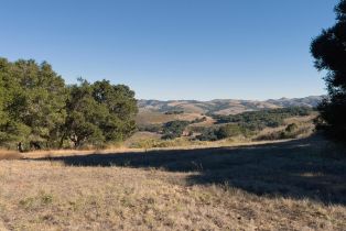 , 7 Holding Field run, Carmel, CA 93923 - 8