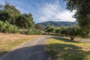 Single Family Residence, 19231 Cachagua rd, Carmel Valley, CA 93924 - 26