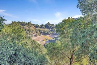 Single Family Residence, 15101 Kennedy rd, Los Gatos, CA 95032 - 2