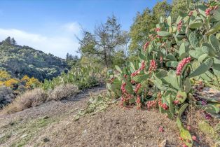 Single Family Residence, 15101 Kennedy rd, Los Gatos, CA 95032 - 36