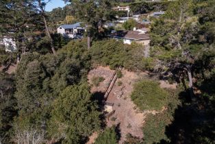 Single Family Residence, 3334 Martin rd, Carmel, CA 93923 - 33