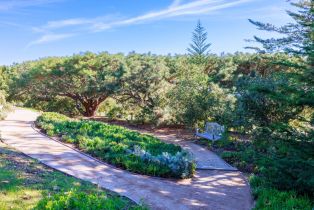 Single Family Residence, 350 El Caminito rd, Carmel Valley, CA 93924 - 39