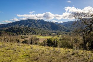 , 37 Pronghorn run, Carmel, CA 93923 - 19