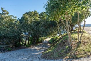 Single Family Residence, 304 Country Club hts, Carmel Valley, CA 93924 - 33