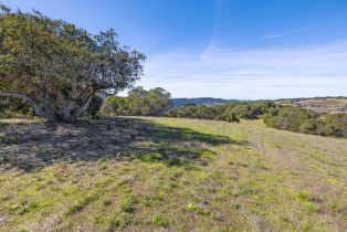 , 8425 Alta Tierra (Lot 66), Carmel, CA 93923 - 11