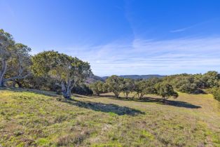 , 8425 Alta Tierra (Lot 66), Carmel, CA 93923 - 13