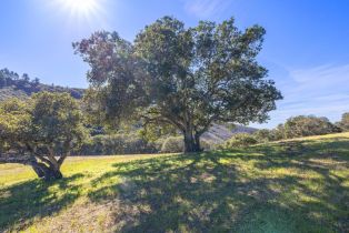 , 8425 Alta Tierra (Lot 66), Carmel, CA 93923 - 17