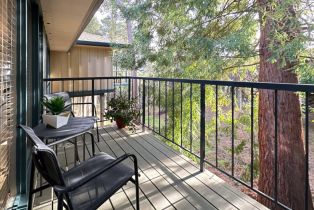 Condominium, 185 Del Mesa Carmel, Carmel, CA 93923 - 25