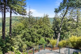 Single Family Residence, 20420 Idylwild rd, Los Gatos, CA 95033 - 52