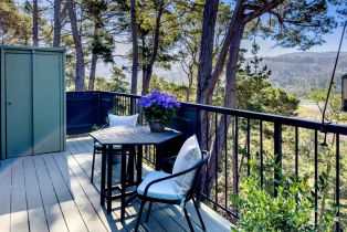 Condominium, 157 Del Mesa Carmel, Carmel, CA 93923 - 18