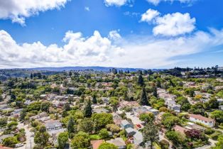 Single Family Residence, 2029 Lyon ave, Belmont, CA 94002 - 2