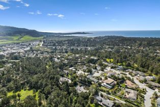 Single Family Residence, 4060 Arroyo trl, Carmel, CA 93923 - 41