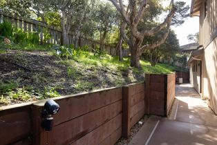 Single Family Residence, 24429 San Luis ave, Carmel, CA 93923 - 19