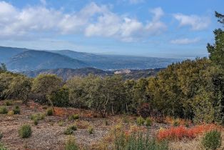 Single Family Residence, 16420 Soda Springs rd, Los Gatos, CA 95033 - 43