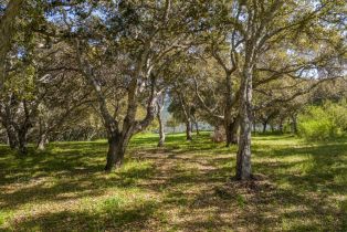 , 4 Holding Field Run (Lot D18), Carmel, CA 93923 - 3