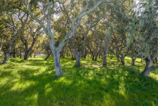 , 4 Holding Field Run (Lot D18), Carmel, CA 93923 - 4