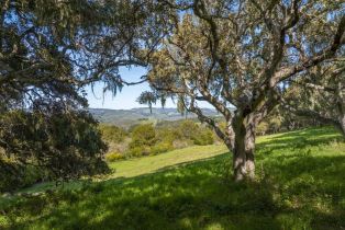 , 4 Holding Field Run (Lot D18), Carmel, CA 93923 - 6