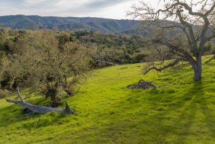 , 21 Pronghorn Run (Lot 119), Carmel, CA 93923 - 6